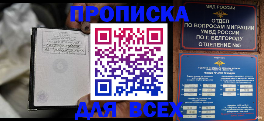 где прописаться в Волхове